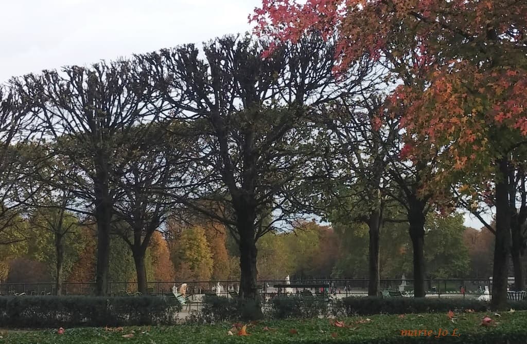 L'automne aux Tuileries