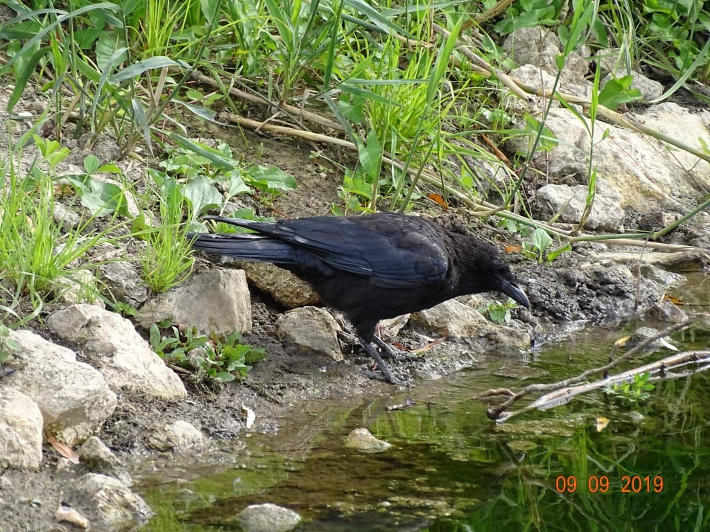 L' Eau, bien précieux