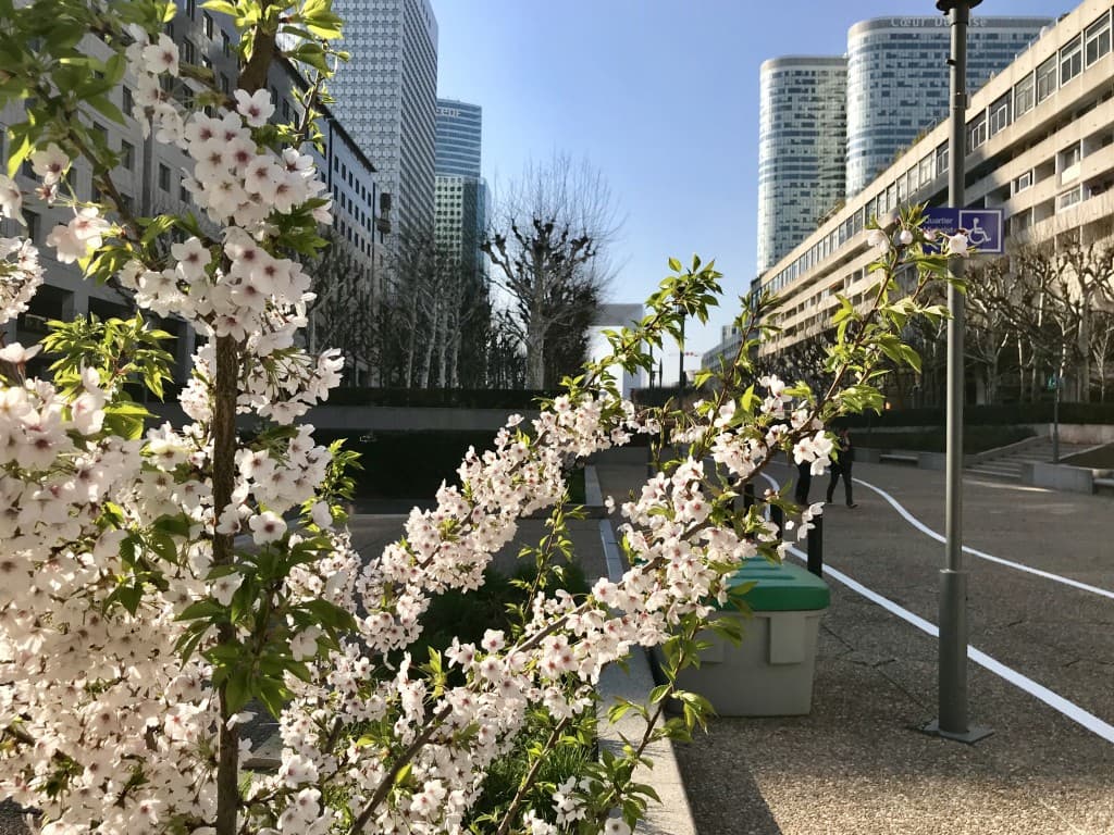 Le printemps a la defense