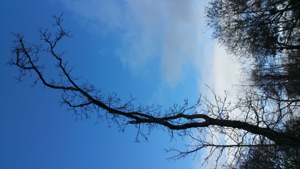 Lumière d'hiver