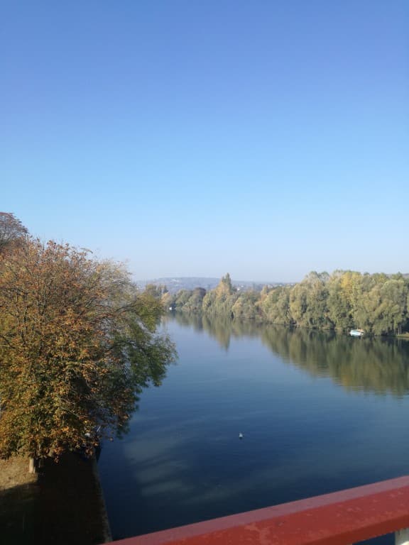 Magnifique 