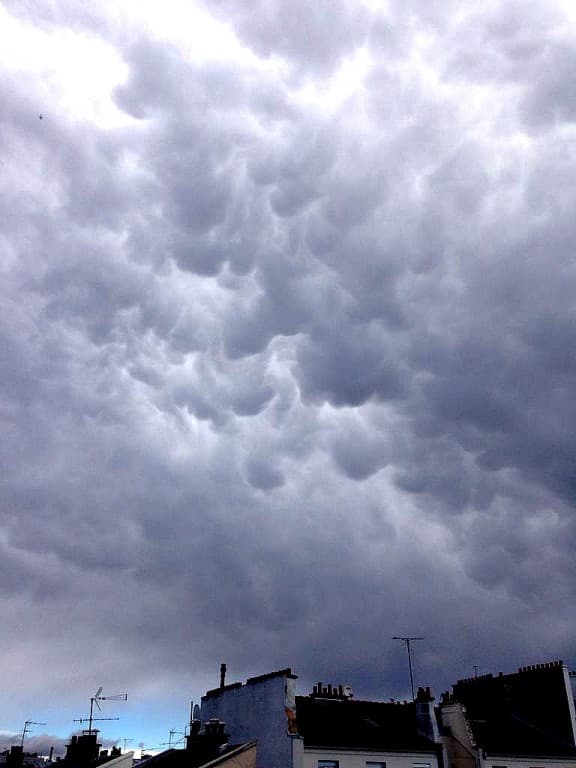 Mamatus