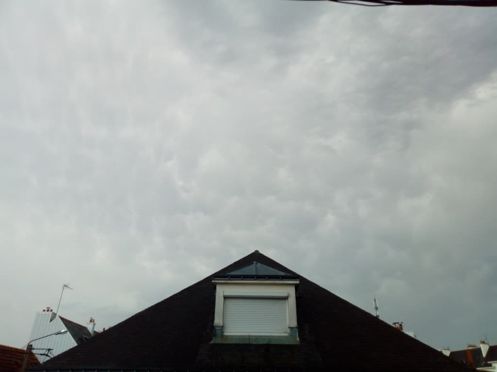 Mamatus
