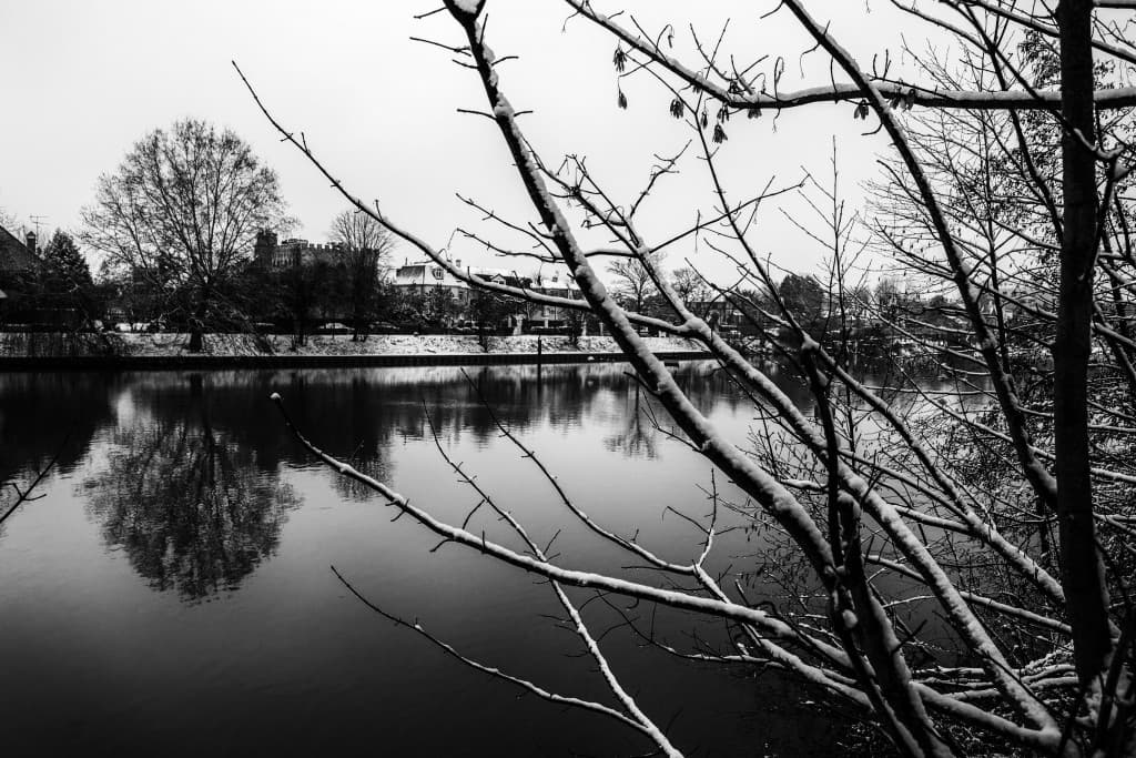 Marne hivernale