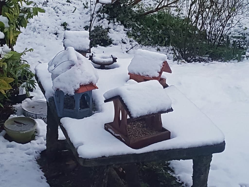 Matin blanc