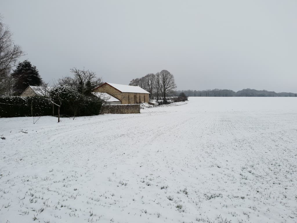 Neige orgemont