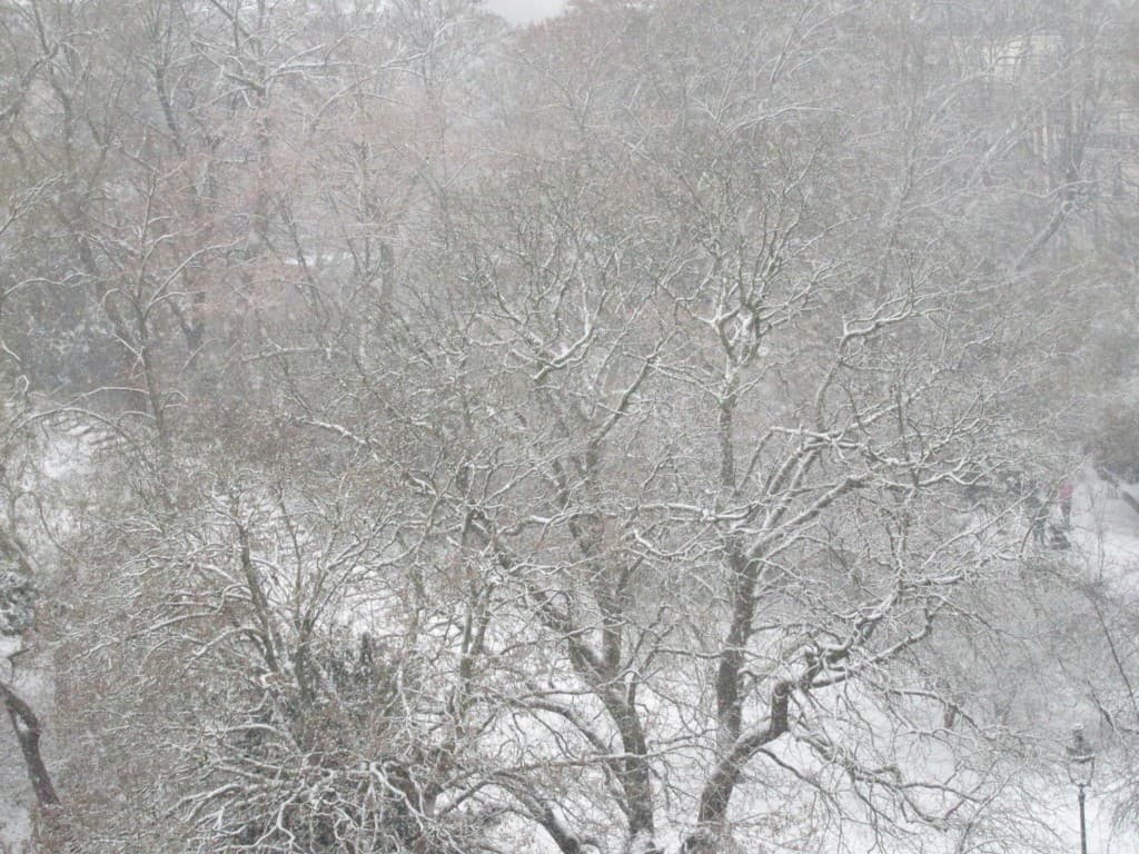 neige sur les buttes chaumont ce matin