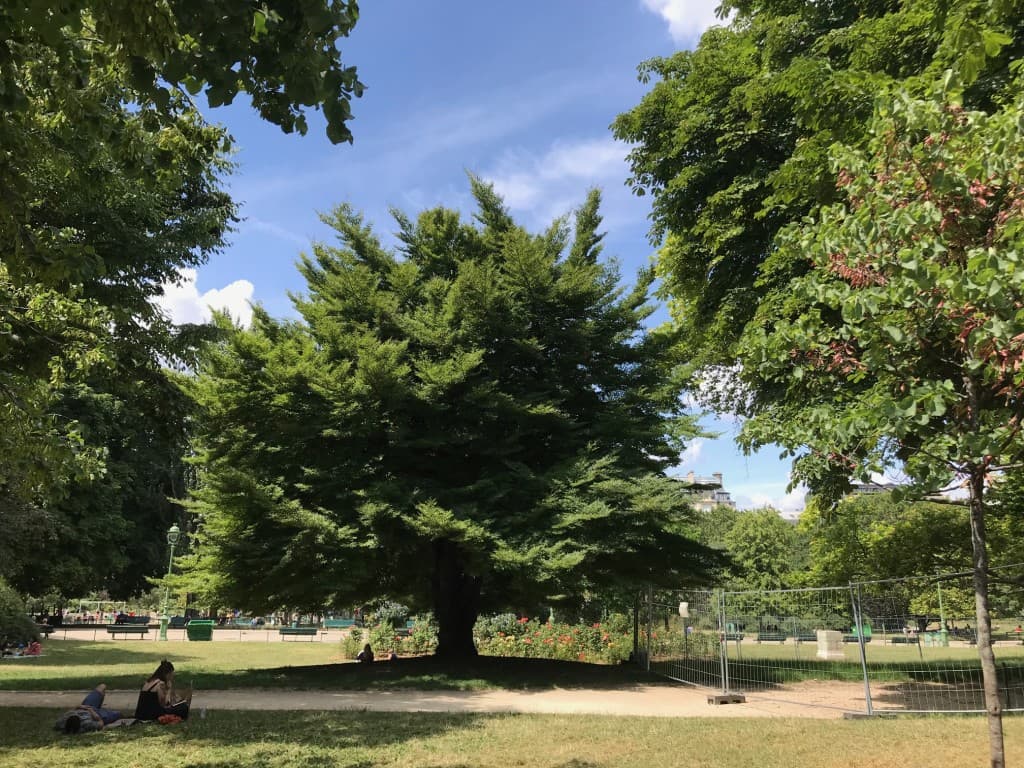 Parc Monceau 