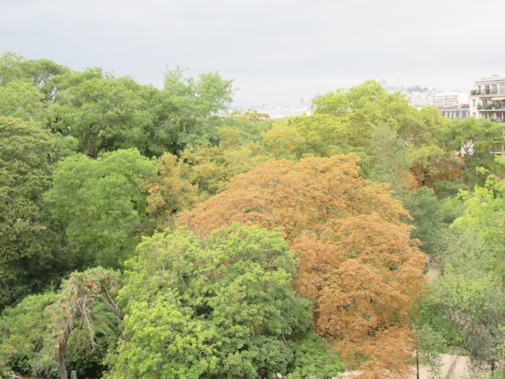 Paris automne