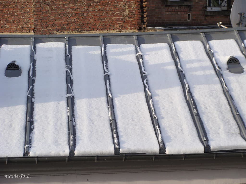 Pentes verti-neigeuses (MJL)