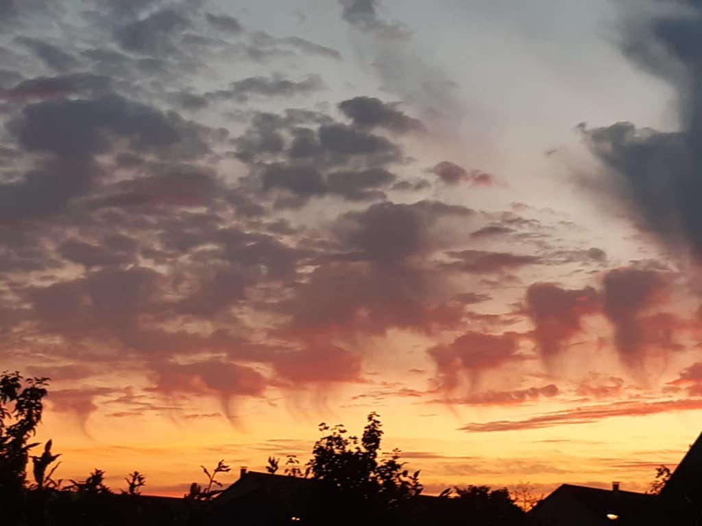 petite pluie sans une goutte  au sol