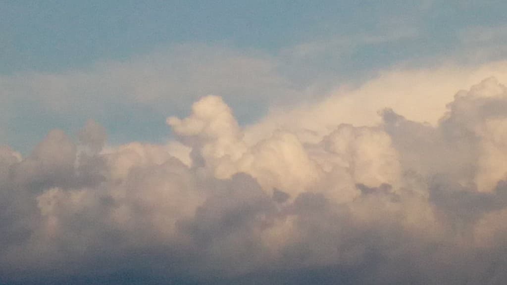 Poodle ?!