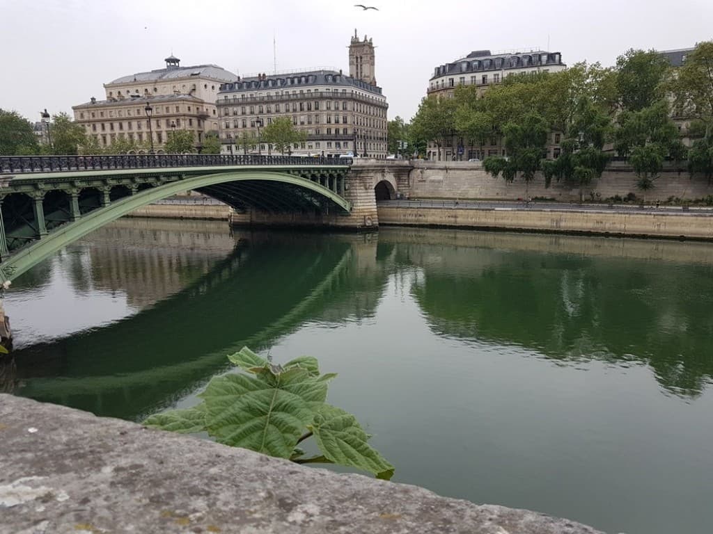 Reflet du pont d'Arcole