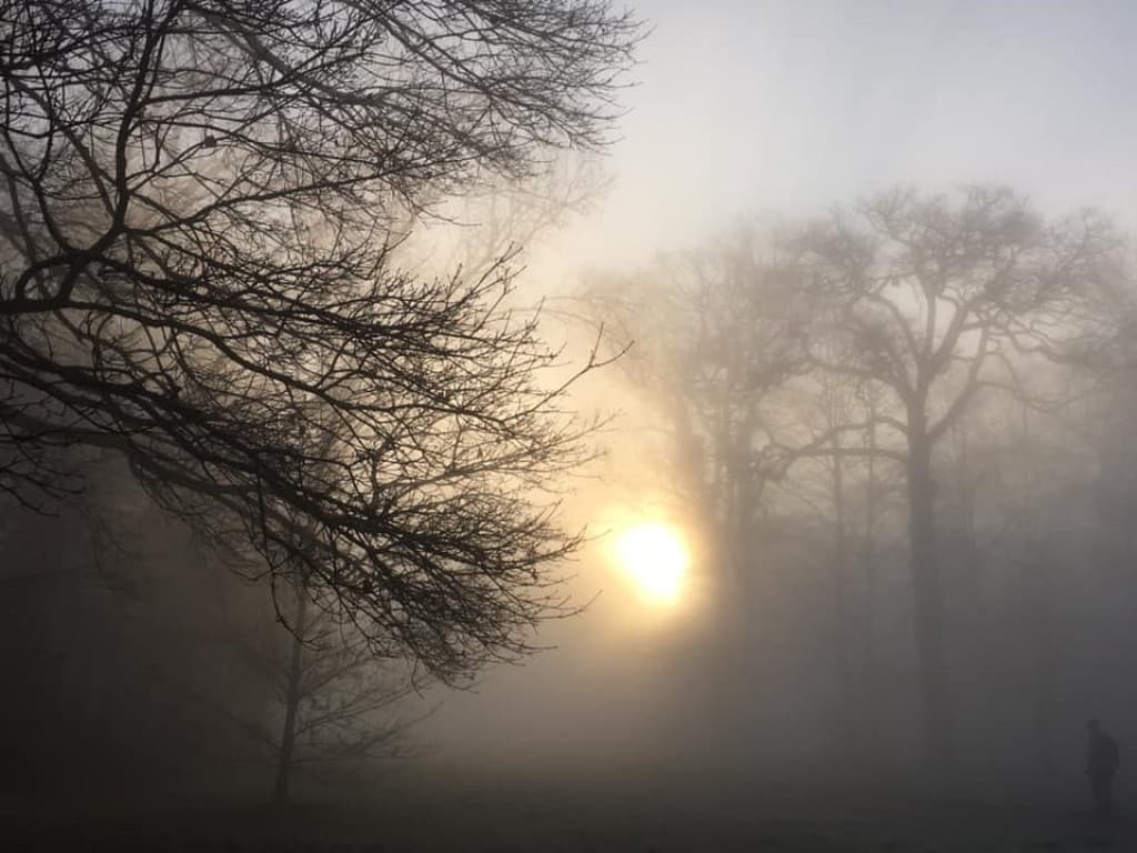 Soleil de décembre