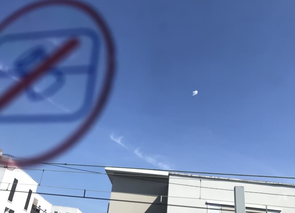 Un nouvel oiseau? Non, un sac plastique.