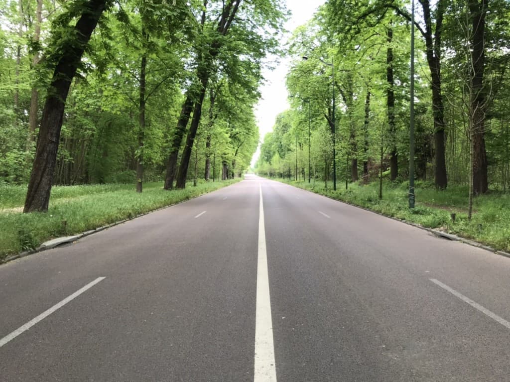 Bois de Vincennes
