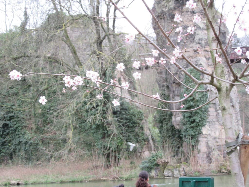 ce jour au parc des buttes chaumont