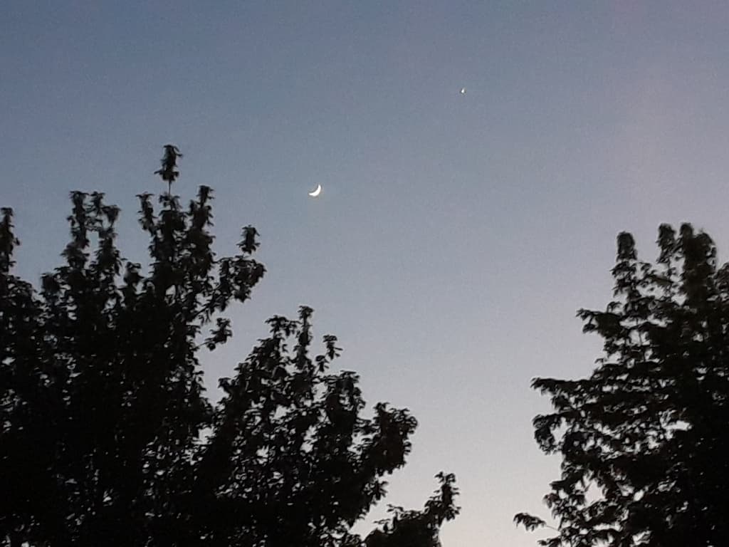 Ciel clair pour voir Vénus et la Lune