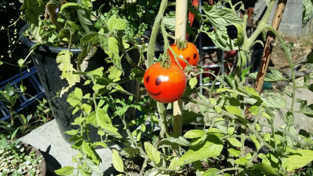 Garden Art 2