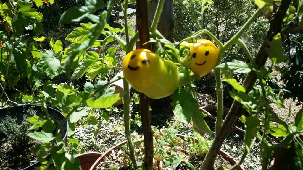 Garden Art