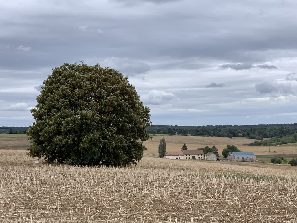 La secheresse est toujours là