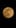 lune rose