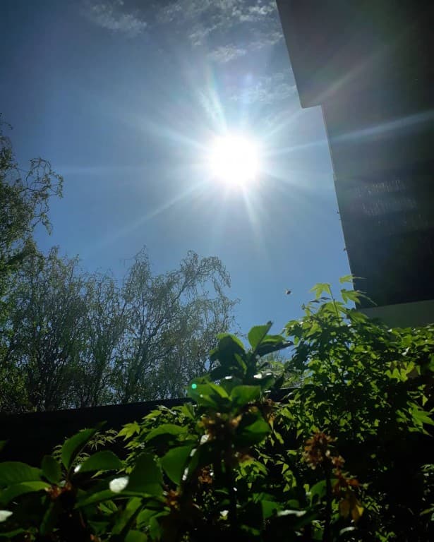 Plein soleil