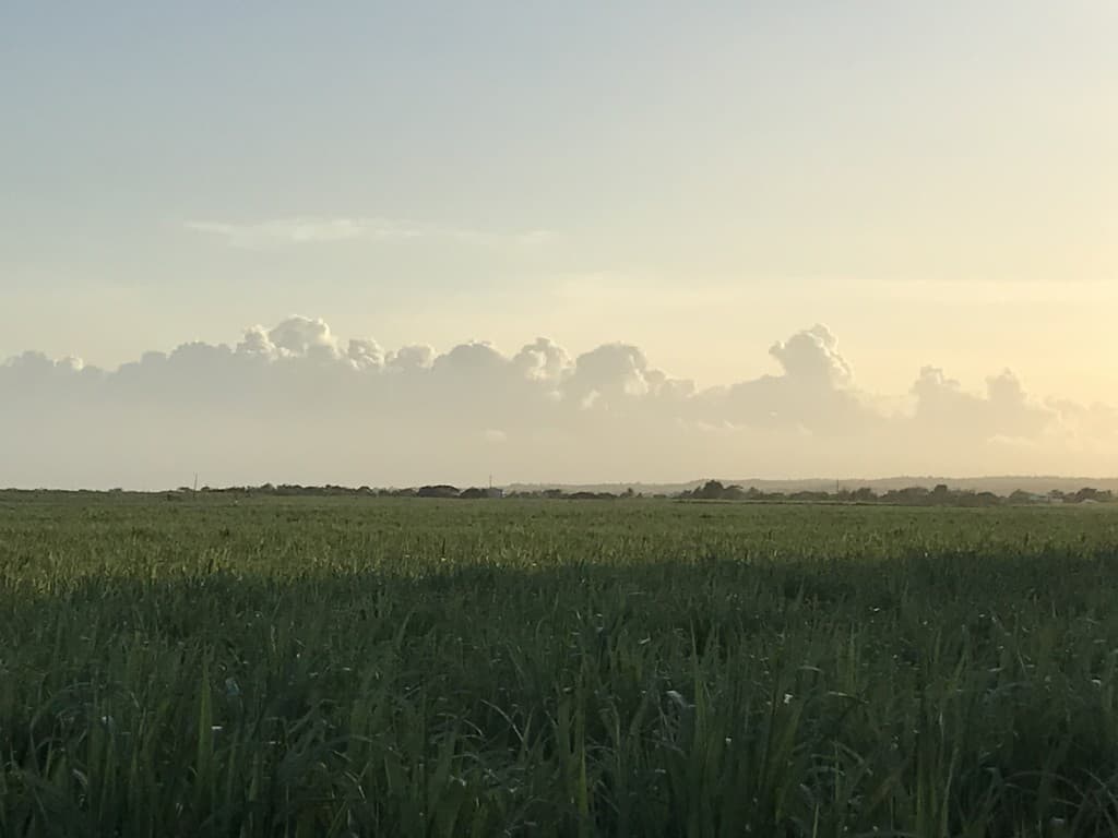 Proche de l’ITCZ