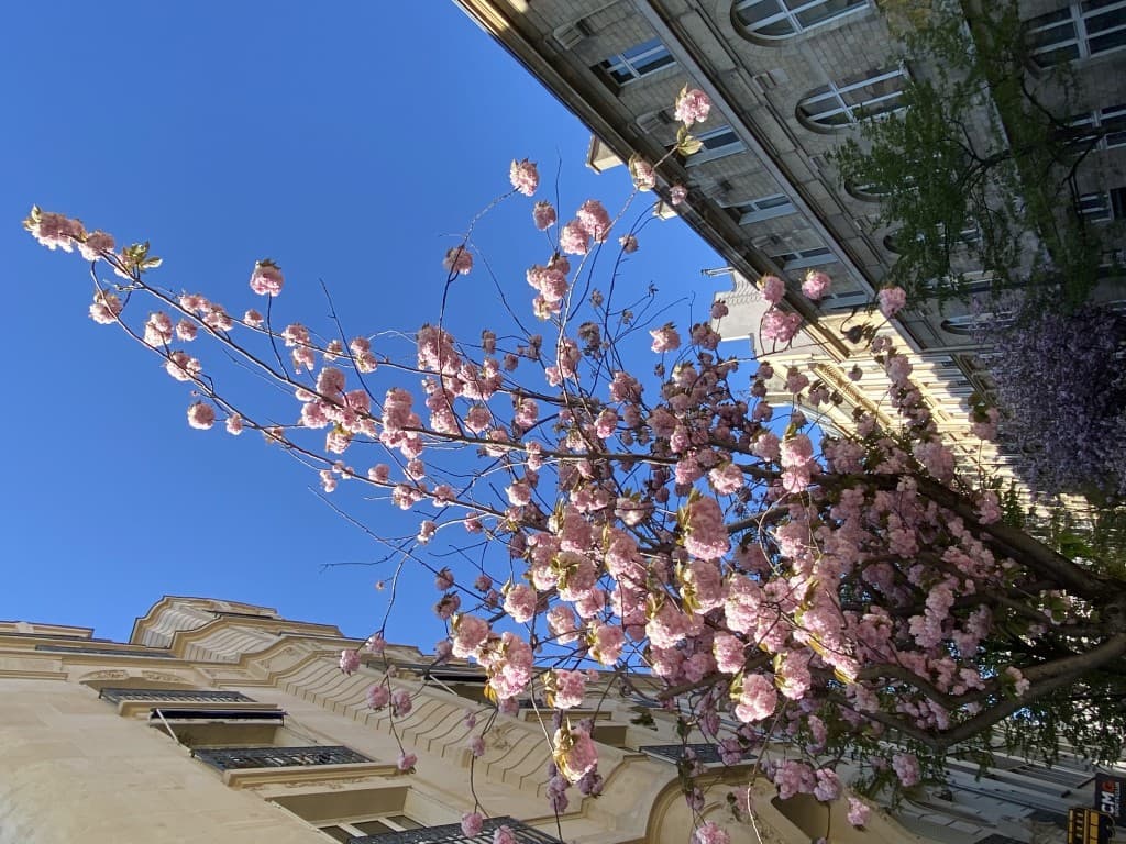 Quartier Batignolles