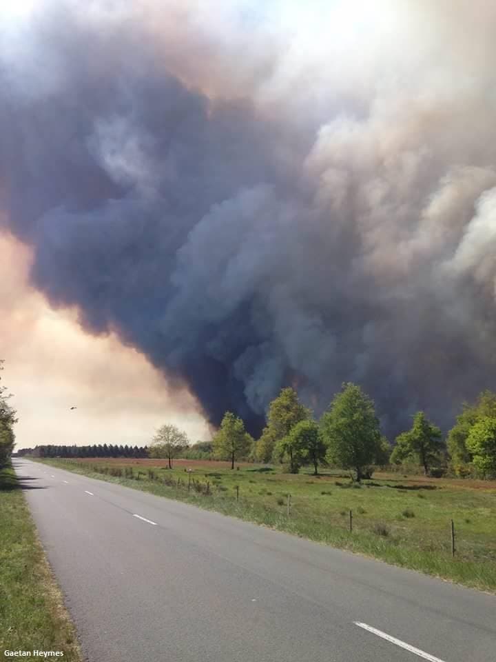 Image d'illustration pour Sécheresse : premiers gros incendies de la saison