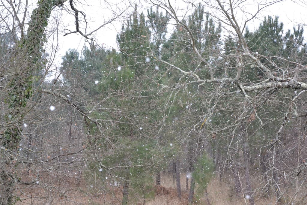 Image d'illustration pour BILAN FÉVRIER 2013 :  froid marqué et neigeux