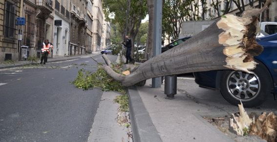 Image d'illustration pour Neige et froid fin octobre en plaine : assez rare mais pas exceptionnel