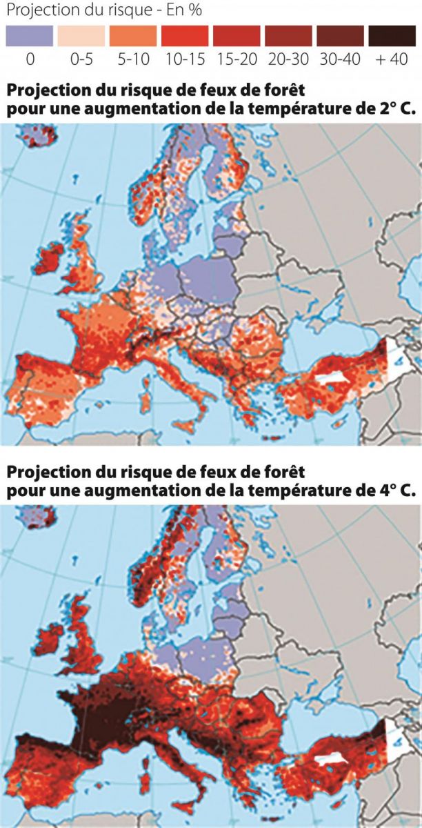 Image d'illustration pour Violents incendies en Californie - quelles conséquences pour le climat?