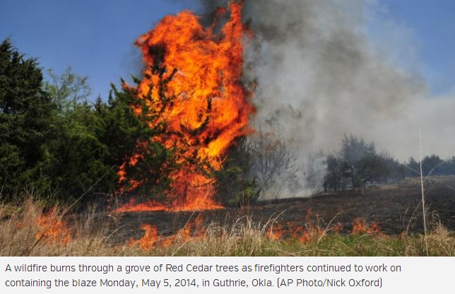 Image d'illustration pour Chaleur et incendies au Sud des Etats-Unis - Tornade de feu en Ohio