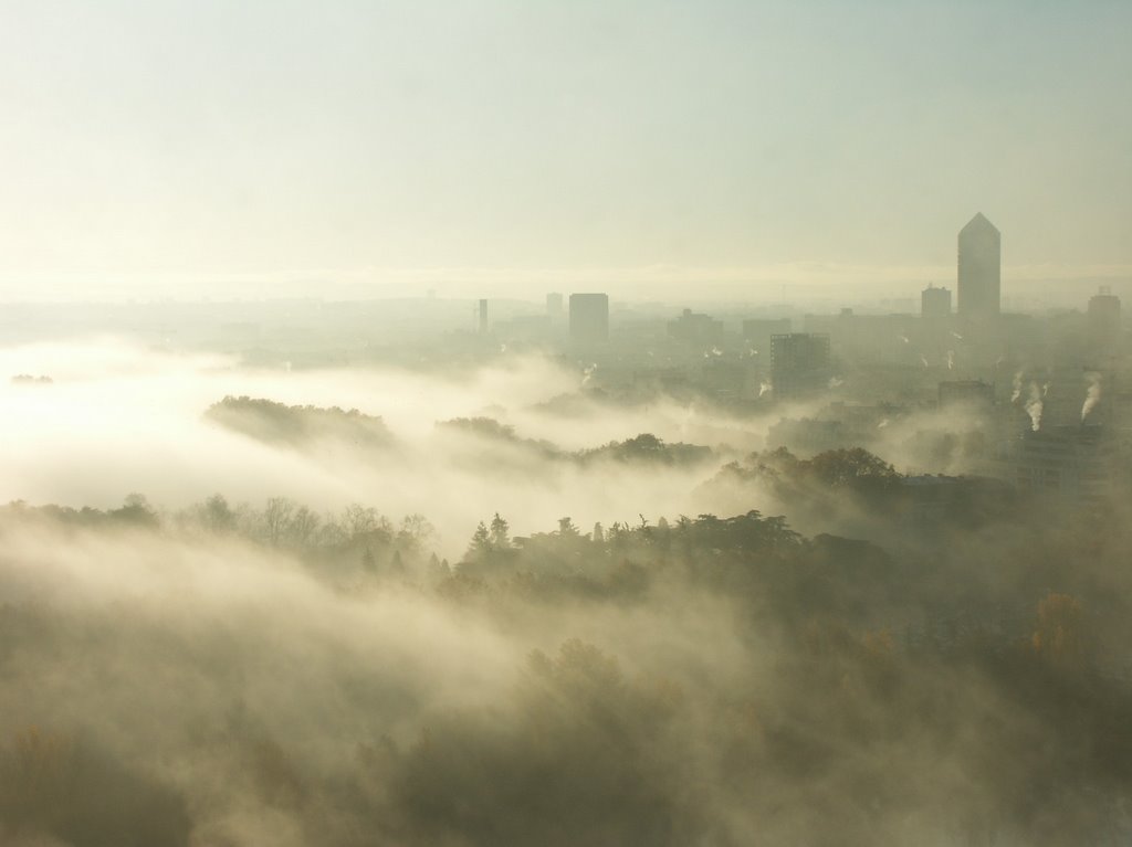 Image d'illustration pour Soleil après la grisaille à Lyon et en Val de Saône