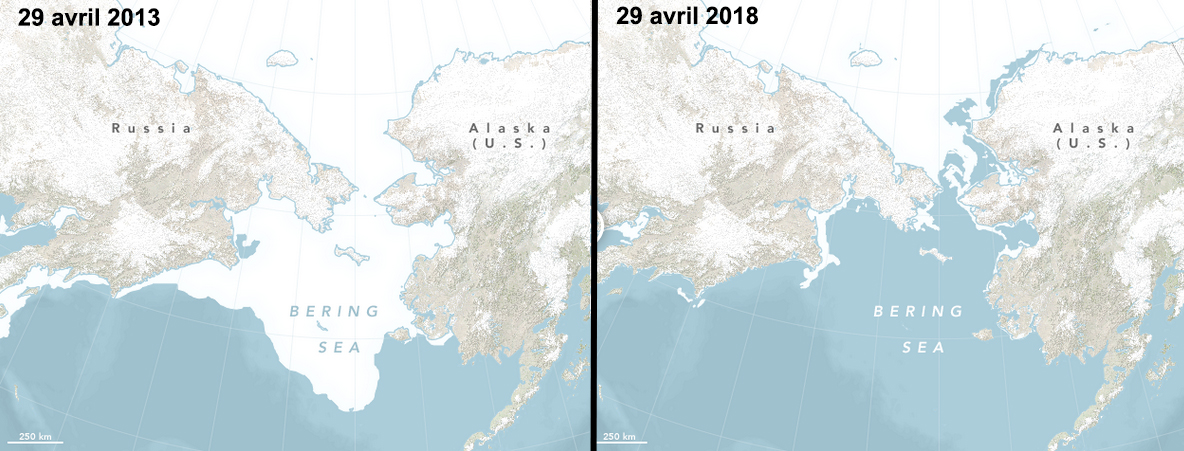 Image d'illustration pour Banquise Arctique : record en avril, une mer de Béring libérée des glaces