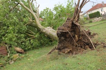 Image d'illustration pour Bilan des violents orages les 12 & 13 août : vent, foudre, inondations