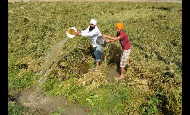 Image d'illustration pour Orage, tempête de sable et canicule en Inde