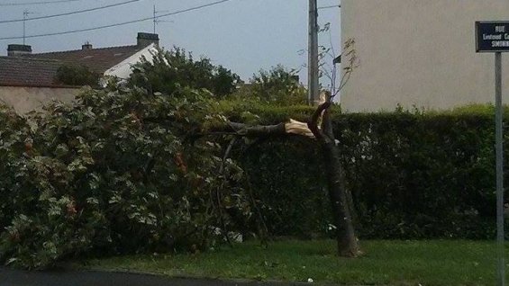 Image d'illustration pour Orage et fortes rafales de vent sur le Nord-Est