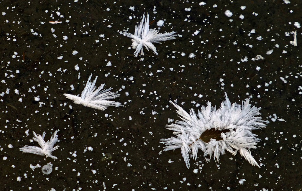 Image d'illustration pour Vos photos météo de la semaine