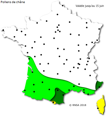 Image d'illustration pour Orages et pollens de graminées favorisent la crise d'asthme