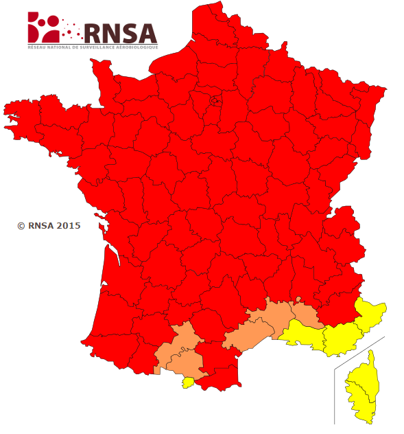 Image d'illustration pour Risque allergique maximal face aux pollens de graminées