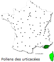 Image d'illustration pour Végétation en avance, pollens et allergies