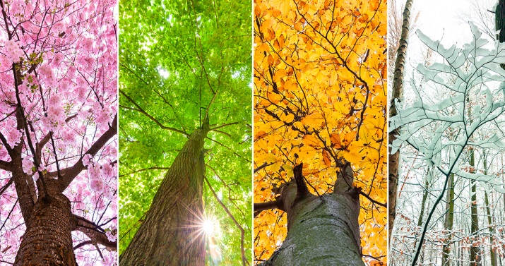 Image d'illustration pour Fin du printemps et début de l'été - Tendance météo ?