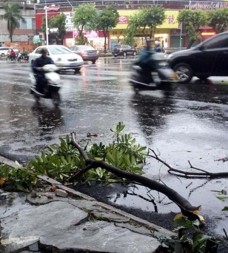 Image d'illustration pour Tempête tropicale Hagibis - Pacifique Nord-Ouest - Chine