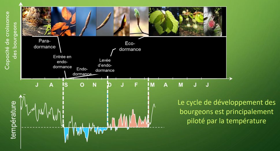 Gelées tardives : le risque plane de nouveau Fr7nXARX0CAtk_u