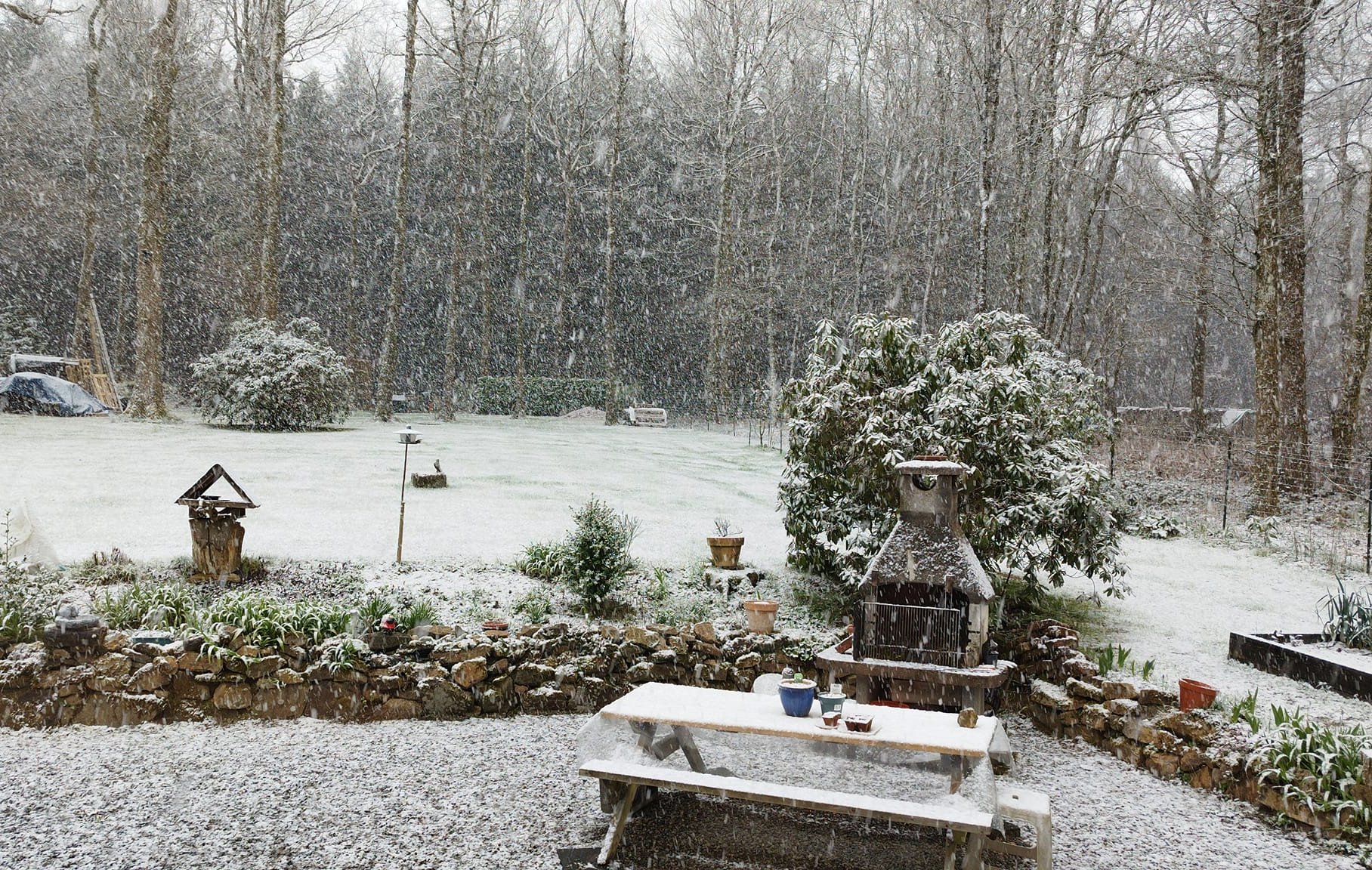 Nouvelles tornades aux États-Unis, neige temporaire sur le Benelux,...  FuJqcbmXoAAgDF_