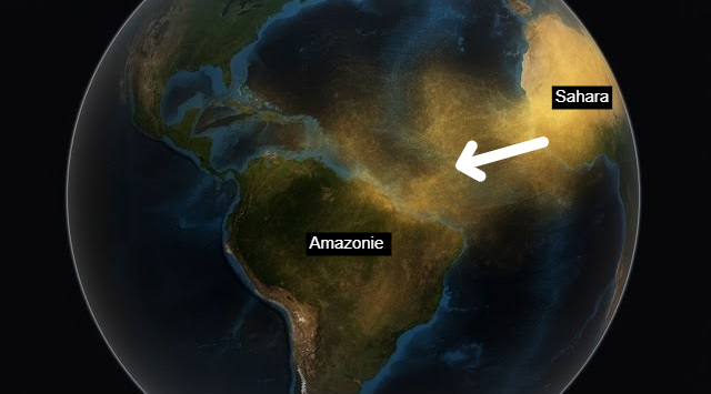 amazoniesahara.png