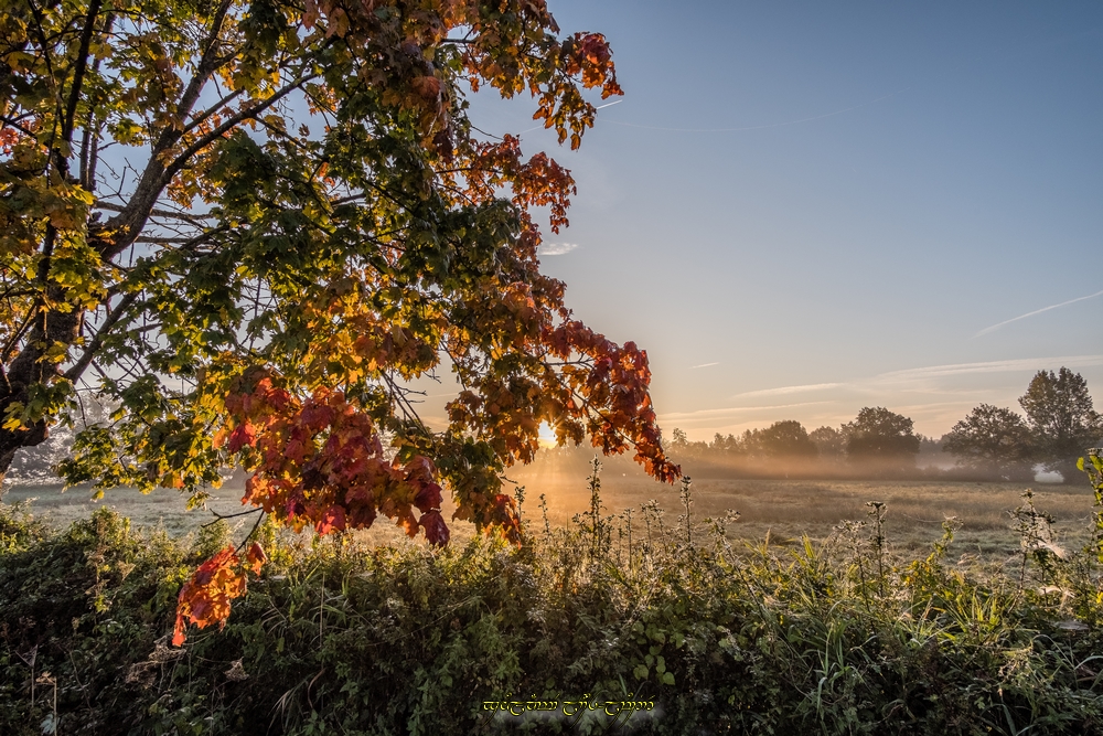 Paysage d'automne dans le département du Nord - Photo meteo-villes.net