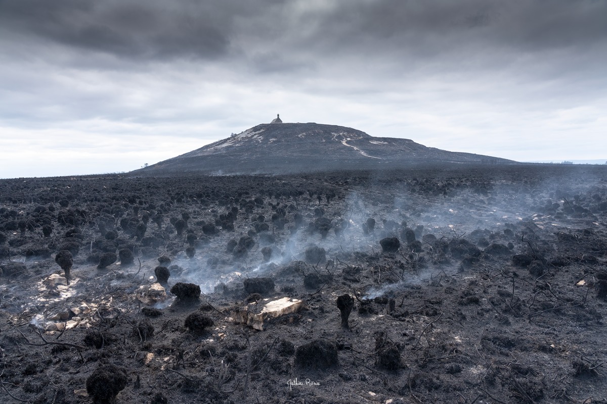 Réchauffement climatique : les derniers événements inédits en France Brasparts-feu